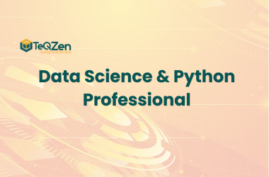Data Science and Python Professional